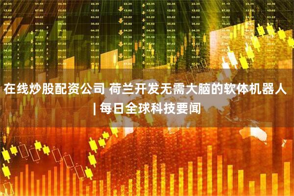 在线炒股配资公司 荷兰开发无需大脑的软体机器人 | 每日全球科技要闻